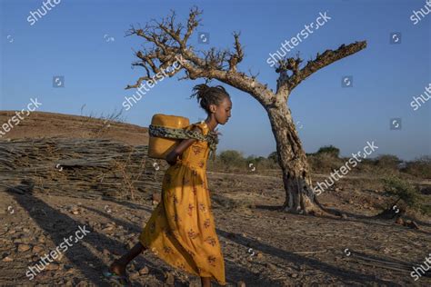 Tigray Woman Who Fled Conflict Ethiopias Editorial Stock Photo Stock