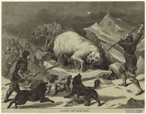 Hunting The Polar Bear Nypl Digital Collections