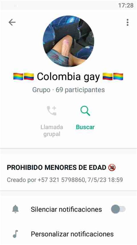 Grupos Gay De Whatsapp Gay Groups In Whatsapp Guia Gay Colombia