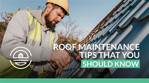 Roof Maintenance Tips You Need To Know Green Ocean Property Management