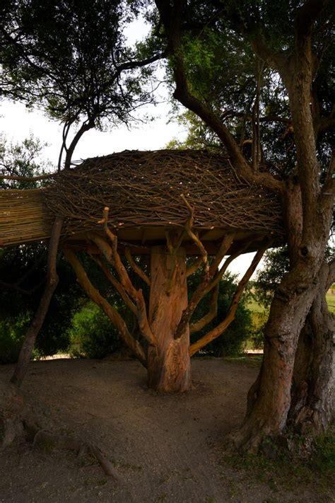 Human Sized Bird Nests Invite You To Enjoy The View Like Our Feathered