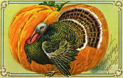 thanksgiving cards turkey