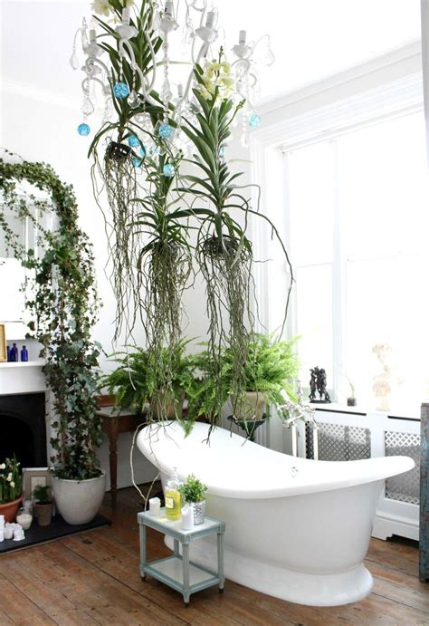 34 Lovely House Plants In The Bathroom Bathroom Plants Decor Bathroom Plants