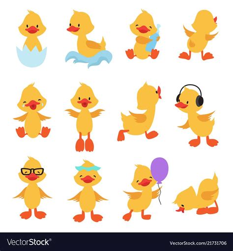 Cute Chicks Cartoon Yellow Ducks Baby Duck Vector Set Bird Animal