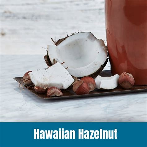 Hawaiian Hazelnut 10oz Ground Coffee