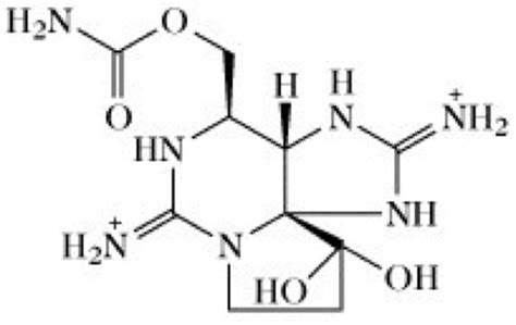 Saxitoxin Lexikon Der Biochemie
