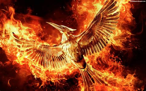 There is a total of 4 movies in this movie series. The Hunger Games: Mockingjay Part 2 HD Wallpapers download ...