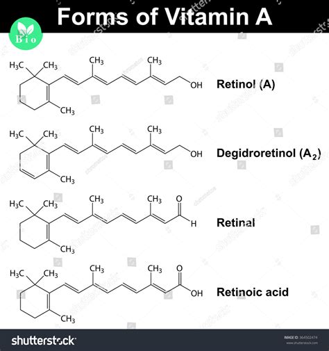 Forms Of Vitamin A Retinol Dehydroretinol Retinal And Retinoic Acid