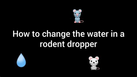 How To Change A Rodent Water Bottle Mice Rats Etc Youtube