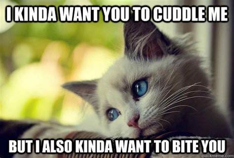 20 Cutest Cuddle Memes Cute Animal Memes Funny Cats Dogs Funny Animals