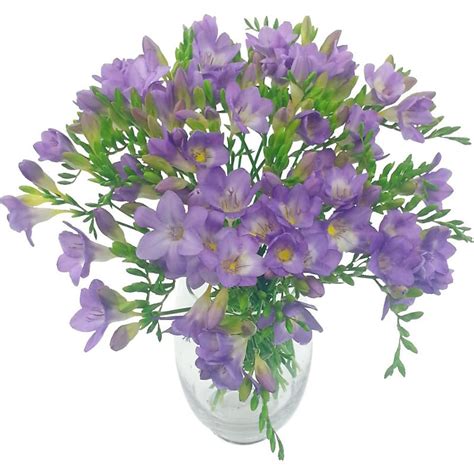 Lilac Charm Freesia Bouquet Deluxe Freesia Flowers Express Delivered