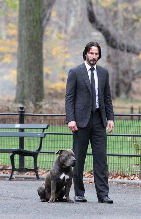 John wick (2014, сша, канада, китай), imdb: John Wick: Chapter 2 (@JohnWickUpdates) | Twitter Looks ...