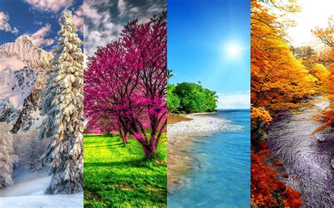Download Wallpapers 4 Seasons 4k Winter Spring Summer Autumn