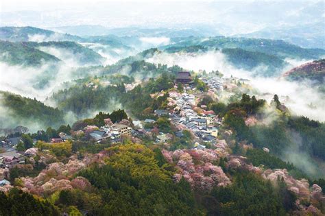 Wikimedia commons has media related to landforms of japan. 16 National Geographic Images Of Cherry Blossom In Japan | DeMilked