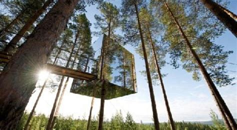 Now Thats A Tree House 🍃 Beautiful Tree Houses Green Architecture