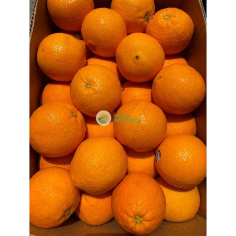 Australia Navel Oranges Large 3107