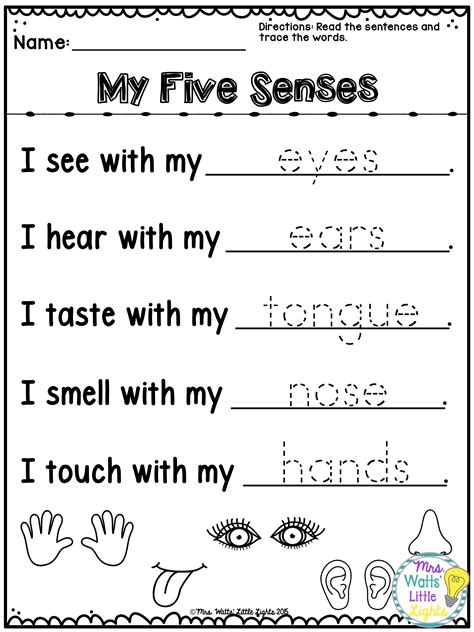 Kindergarten Five Senses Worksheet