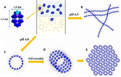 Schematics Of The Synthesis And Self Assembly Process Of Single Pom