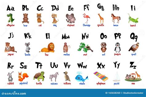 Alfabeto De Animales De Dibujos Animados Para La Educación De Los Niños