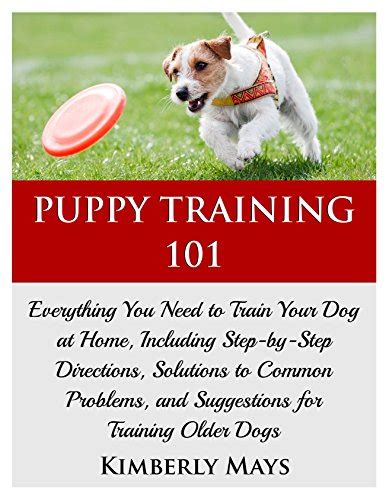 Puppy Training 101 Everything You Need To Train Your Dog
