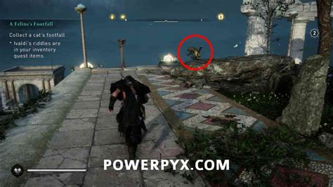 Assassin S Creed Valhalla A Feline S Footfall Walkthrough