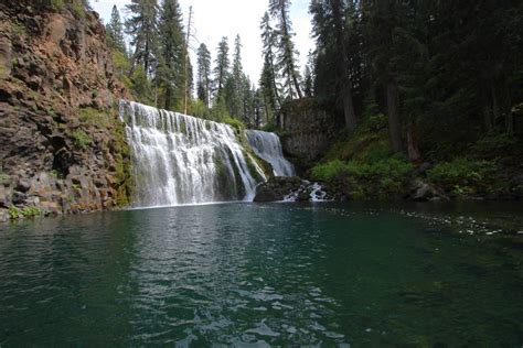 Mount Shasta Сrater Lake Redwoods National Park Клуб большая медведица