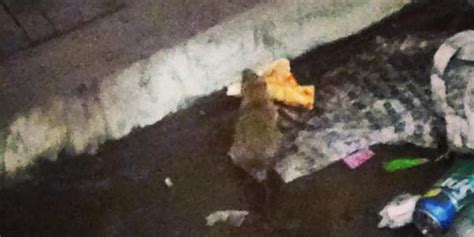 This Photo Of A Rat Eating Pizza On The Subway Tracks Is The Most New