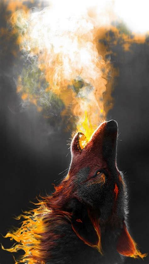 Fire Wolf Wallpaper 61 Images