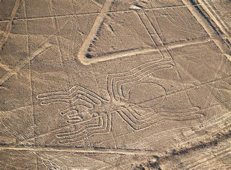 I misteri delle linee di Nazca in Perù dall orca all antico astronauta
