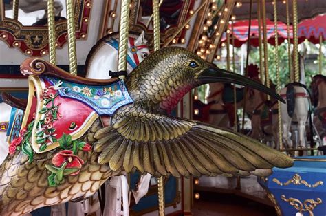 Hummingbird Carousel Ellen X Silverberg Flickr
