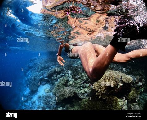 Snorkelling Raja Ampat Dive Lodge Asian Woman In A Thong Bikini Snorkelling The House Reef