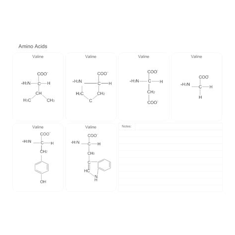 Amino Acids Biology Diagram