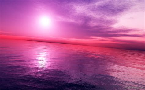 48 Purple Nature Wallpapers And Screensavers On