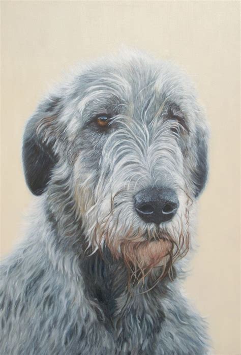 Custom Pet Portrait Irish Wolfhound Oil Painting 236 X 315in