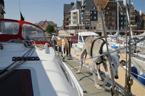 Varen Met Honden Etappe 10 Le Havre Dives Sur Mer