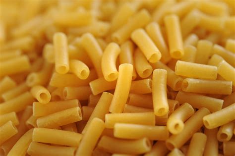 Free Stock Photo 11790 Uncooked Macaroni Pasta Freeimageslive