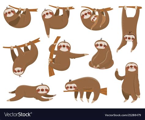 Cute cartoon sloths adorable rainforest animals Vector Image