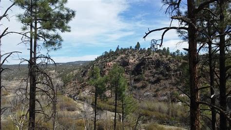 Gila National Forest Silver City All You Need To Know Before You Go