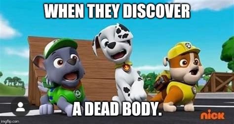 Paw Patrol Shocked Rocky Marshall And Rubble Imgflip