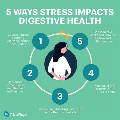 Stress And Digestion 3 Ways To Improve Digestive Health Dr Pingel