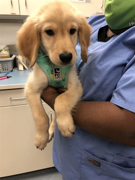 Our evansville animal hospital can provide treatment for disorders, diseases and injuries of small animals. Welcome to All Creatures Animal Hospital Dunwoody, GA