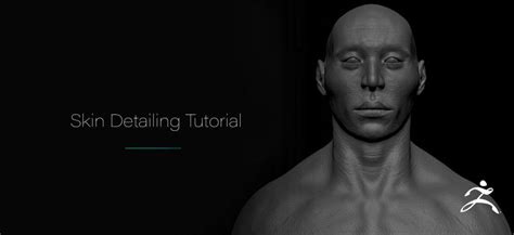 Sculpting Skin Details Without Exalphas Or Scans In Zbrush 20216