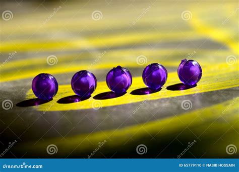 Round Shape Unique Objects Stock Stock Photo Image Of Round Dark