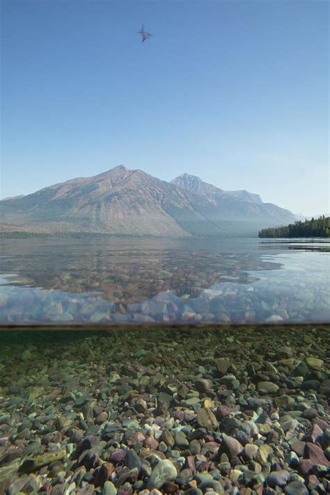 Over Under Half Water Half Land Lake Photograph By Panoramic Images