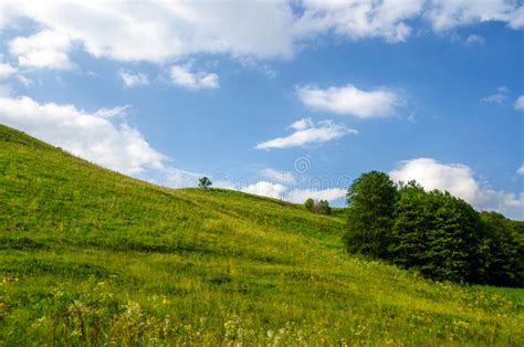 Green Grass Hill And Trees Stock Image Image Of Colorful 100076893