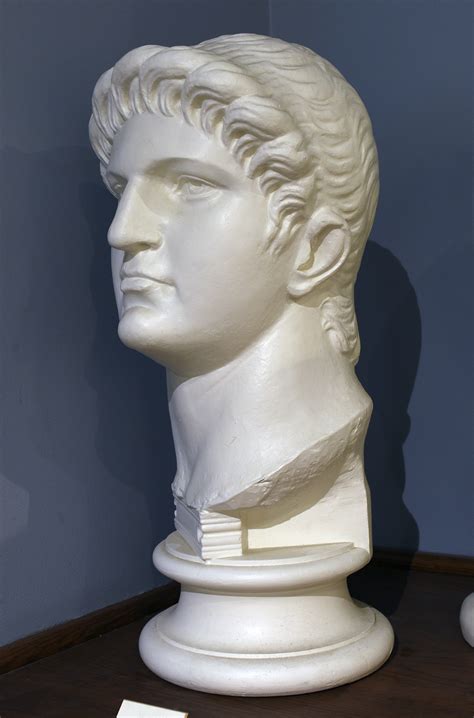 Nero · Wilcox Classical Museum