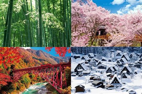 The 10 Japanese Seasons Japanpedia Media