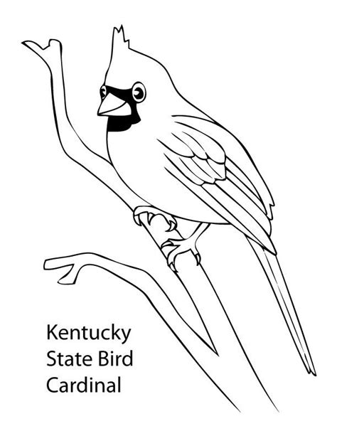 Ohio State Bird Coloring Page
