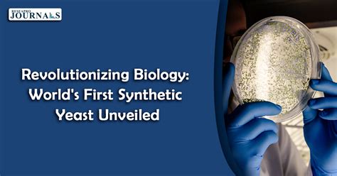 Revolutionizing Biology Worlds First Synthetic Yeast Unveiled