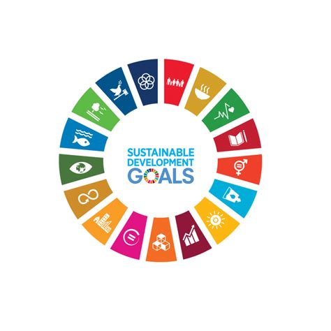Playing Your Part Delivering The Un Sustainable Development Goals